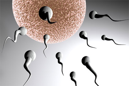 Not the Fastest Sperm are the Most Successful Ones