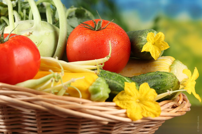 700-food-eat-diet-nutrition-tomato-cucumber-pumpkin-cook-diet-weight