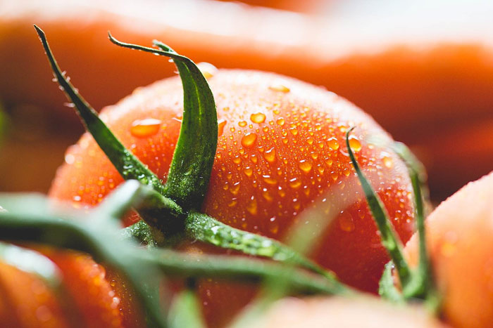 food-diet-nutirion-vegetable-nutrition-tomato